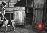 Image of men hunting United States USA, 1920, second 45 stock footage video 65675063734