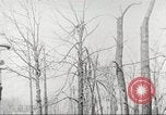 Image of United States troops United States USA, 1920, second 30 stock footage video 65675063736