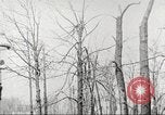 Image of United States troops United States USA, 1920, second 31 stock footage video 65675063736