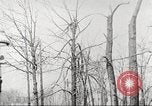 Image of United States troops United States USA, 1920, second 32 stock footage video 65675063736