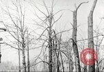 Image of United States troops United States USA, 1920, second 35 stock footage video 65675063736
