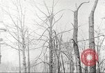 Image of United States troops United States USA, 1920, second 36 stock footage video 65675063736