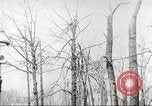Image of United States troops United States USA, 1920, second 37 stock footage video 65675063736