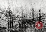 Image of United States troops United States USA, 1920, second 39 stock footage video 65675063736
