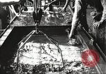 Standbild Verpackung Gewehre United States USA, 1918, aus Sekunde 36 historischem Filmmaterial Videoclip 65675063741