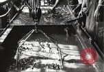 Standbild Verpackung Gewehre United States USA, 1918, aus Sekunde 38 historischem Filmmaterial Videoclip 65675063741