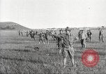 Immagine di Esercito degli Stati Uniti formazione United States USA, 1914, secondo 29 filmato di repertorio 65675063749