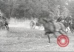 Immagine di US Army formazione di cavalleria Nebraska United States USA, 1914, secondo 61 filmato di repertorio 65675063750