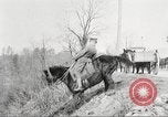 Image of United States Army Cavalry exercises United States USA, 1914, second 24 stock footage video 65675063753