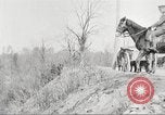 Image of United States Army Cavalry exercises United States USA, 1914, second 26 stock footage video 65675063753