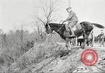 Image of United States Army Cavalry exercises United States USA, 1914, second 29 stock footage video 65675063753
