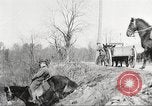 Image of United States Army Cavalry exercises United States USA, 1914, second 32 stock footage video 65675063753