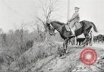 Image of United States Army Cavalry exercises United States USA, 1914, second 35 stock footage video 65675063753