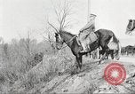 Image of United States Army Cavalry exercises United States USA, 1914, second 36 stock footage video 65675063753
