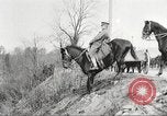 Image of United States Army Cavalry exercises United States USA, 1914, second 37 stock footage video 65675063753