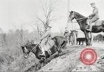 Image of United States Army Cavalry exercises United States USA, 1914, second 40 stock footage video 65675063753