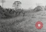 Image of United States Cavalry Units Galveston Texas USA, 1916, second 45 stock footage video 65675063754