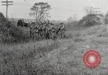 Image of United States Cavalry Units Galveston Texas USA, 1916, second 47 stock footage video 65675063754