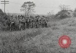 Image of United States Cavalry Units Galveston Texas USA, 1916, second 48 stock footage video 65675063754