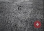Immagine di Akeley-Eastman-Pomeroy spedizione Kenya Africa, 1927, secondo 24 filmato di repertorio 65675063758