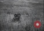 Immagine di Akeley-Eastman-Pomeroy spedizione Kenya Africa, 1927, secondo 27 filmato di repertorio 65675063758