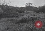 Immagine di Akeley-Eastman-Pomeroy spedizione Kenya Africa, 1927, secondo 41 filmato di repertorio 65675063758