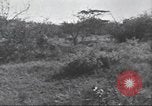 Immagine di Akeley-Eastman-Pomeroy spedizione Kenya Africa, 1927, secondo 43 filmato di repertorio 65675063758