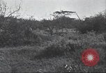 Immagine di Akeley-Eastman-Pomeroy spedizione Kenya Africa, 1927, secondo 45 filmato di repertorio 65675063758