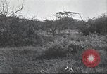 Immagine di Akeley-Eastman-Pomeroy spedizione Kenya Africa, 1927, secondo 46 filmato di repertorio 65675063758