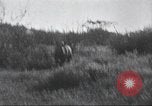 Immagine di Akeley-Eastman-Pomeroy spedizione Kenya Africa, 1927, secondo 47 filmato di repertorio 65675063758