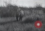 Immagine di Akeley-Eastman-Pomeroy spedizione Kenya Africa, 1927, secondo 48 filmato di repertorio 65675063758