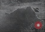 Immagine di Akeley-Eastman-Pomeroy spedizione Kenya Africa, 1927, secondo 54 filmato di repertorio 65675063758