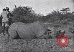 Immagine di Akeley-Eastman-Pomeroy spedizione Kenya Africa, 1927, secondo 61 filmato di repertorio 65675063758