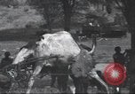 Immagine di George Eastman Kenya Africa, 1927, secondo 32 filmato di repertorio 65675063759