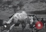 Immagine di George Eastman Kenya Africa, 1927, secondo 34 filmato di repertorio 65675063759