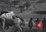 Immagine di George Eastman Kenya Africa, 1927, secondo 35 filmato di repertorio 65675063759