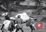 Immagine di George Eastman Kenya Africa, 1927, secondo 41 filmato di repertorio 65675063759