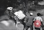 Immagine di George Eastman Kenya Africa, 1927, secondo 43 filmato di repertorio 65675063759