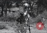 Immagine di George Eastman Kenya Africa, 1927, secondo 46 filmato di repertorio 65675063759