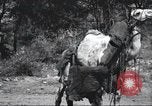 Immagine di George Eastman Kenya Africa, 1927, secondo 50 filmato di repertorio 65675063759