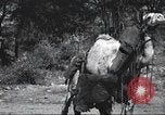 Immagine di George Eastman Kenya Africa, 1927, secondo 51 filmato di repertorio 65675063759
