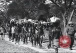 Immagine di George Eastman in Safari Africa, 1927, secondo 38 filmato di repertorio 65675063762