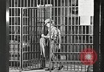 Image le châtiment de Clyde Barrow et Bonnie Parker Dallas Texas USA, 1934, de la seconde 36 séquences d'archives historiques vidéo 65675063766