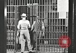 Image le châtiment de Clyde Barrow et Bonnie Parker Dallas Texas USA, 1934, de la seconde 37 séquences d'archives historiques vidéo 65675063766
