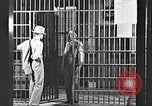 Image le châtiment de Clyde Barrow et Bonnie Parker Dallas Texas USA, 1934, de la seconde 39 séquences d'archives historiques vidéo 65675063766
