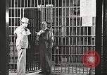 Image le châtiment de Clyde Barrow et Bonnie Parker Dallas Texas USA, 1934, de la seconde 42 séquences d'archives historiques vidéo 65675063766