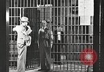Image le châtiment de Clyde Barrow et Bonnie Parker Dallas Texas USA, 1934, de la seconde 43 séquences d'archives historiques vidéo 65675063766