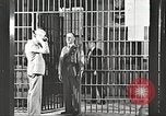 Image le châtiment de Clyde Barrow et Bonnie Parker Dallas Texas USA, 1934, de la seconde 46 séquences d'archives historiques vidéo 65675063766