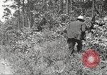 Image Clyde Barrow et Bonnie Parker Bienville Parish Louisiana USA, 1934, de la seconde 21 séquences d'archives historiques vidéo 65675063768