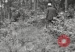 Image Clyde Barrow et Bonnie Parker Bienville Parish Louisiana USA, 1934, de la seconde 23 séquences d'archives historiques vidéo 65675063768
